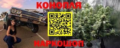 mdpv Краснознаменск