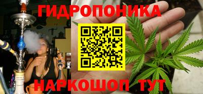 mdpv Краснознаменск