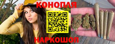 mdpv Краснознаменск