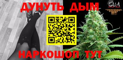 mdpv Краснознаменск
